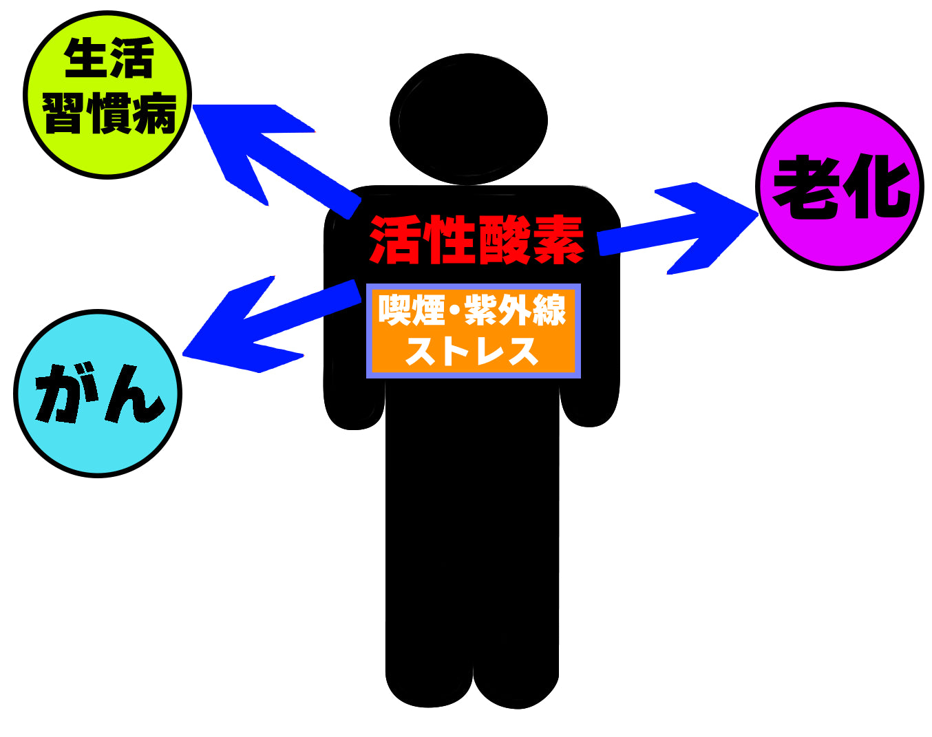 酸化の原因である「活性酸素」とは?メカニズムや対策を解説