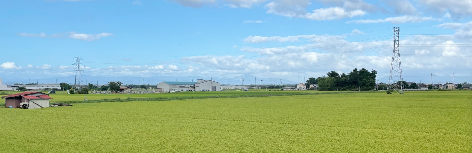 オーガニック酵素ドリンク